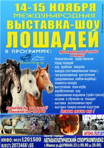 Выставка лошадей
