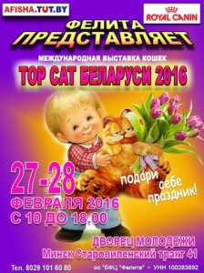 Международная выставка кошек Top Cat