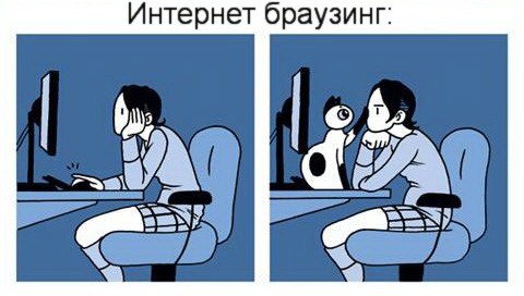 комикс "как меняется жизнь с появлением кота"