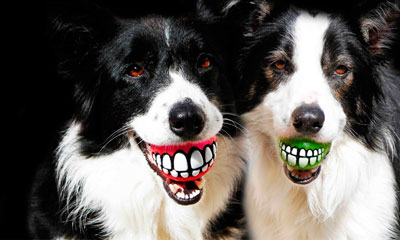 мячик с зубами для собак