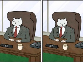 Приключения кота-бизнесмена