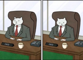 Приключения кота-бизнесмена