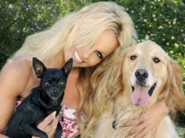 Памела Андерсон за защиту животных