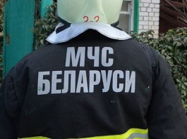 МЧС Беларуси спасает животных