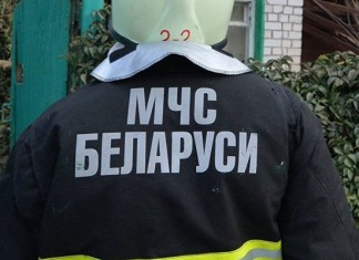МЧС Беларуси спасает животных