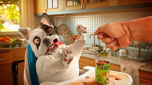 Правило № 1