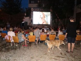 Собачья жизнь: в Минске прошел первый дог-френдли кинопоказ